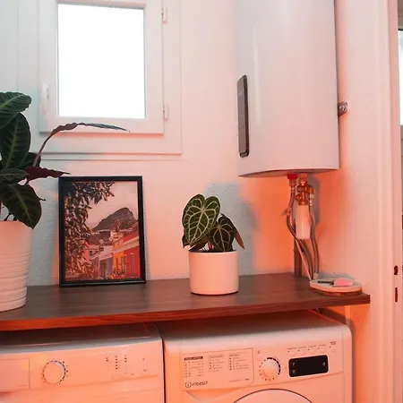 Ecrin Design Et Vegetal Centre Valence