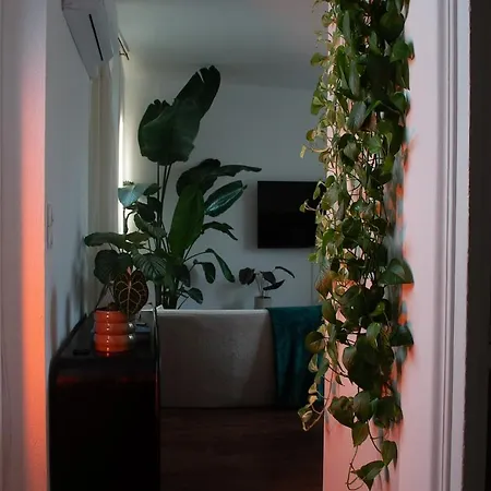 Ecrin Design Et Vegetal Centre *