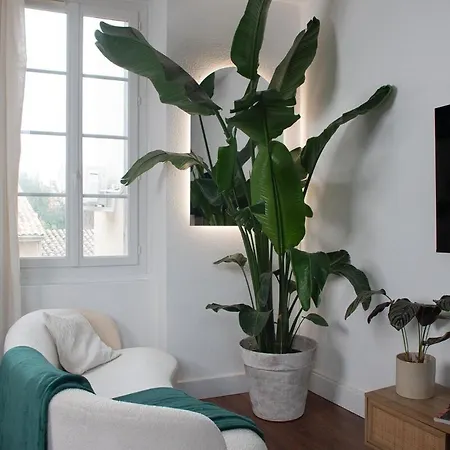 Apartman Ecrin Design Et Vegetal Centre Valence