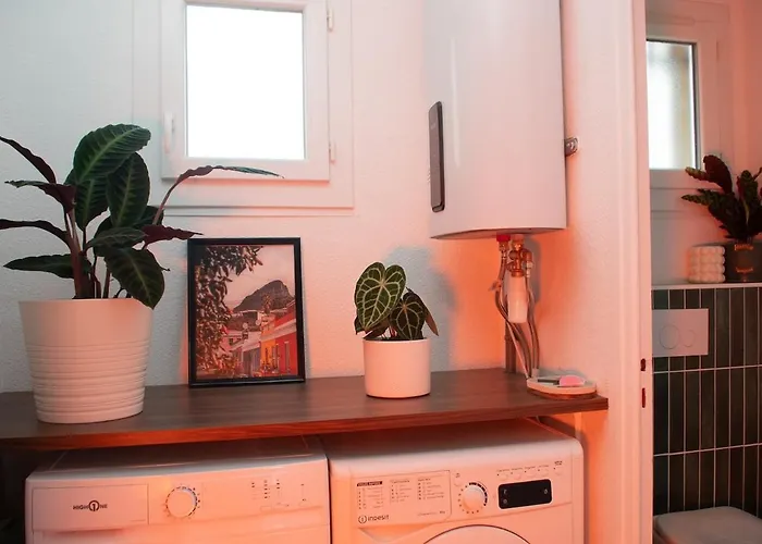 Ecrin Design Et Vegetal Centre Valence